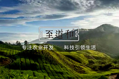 雲南(nán)至道(dào)和(hé)農(nóng)業(yè)
