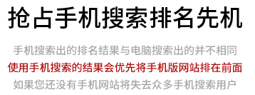 手機(jī)網站(zhàn)有(yǒu)利于移動搜索排名