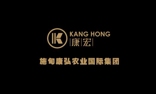 康弘國(guó)際集團網站(zhàn)設計(jì)-雙語版