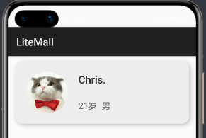 從(cóng)微(wēi)信小(xiǎo)程序到(dào)鴻蒙js開(kāi)發【08】——表單組件(jiàn)&注冊登錄模塊 從(cóng)微(wēi)信小(xiǎo)程序到(dào)鴻蒙js開(kāi)發【08】——表單組件(jiàn)&注冊登錄模塊
